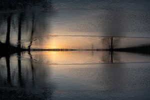 Spiegelung von Sonnenlicht und Bäumen im Wasser 1
