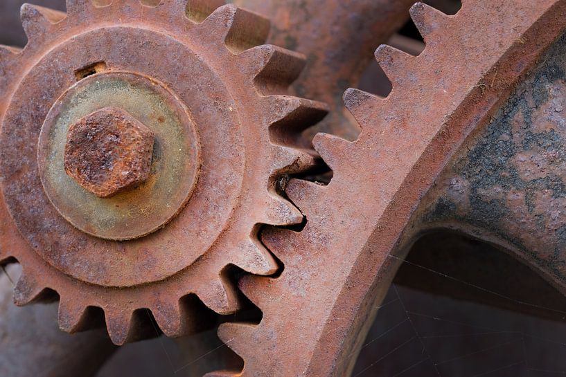 Gear, Tooth of Time by Ulrike Leone
