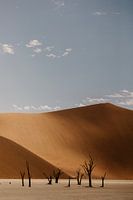 Die wunderschöne Farbpalette des Deadvlei