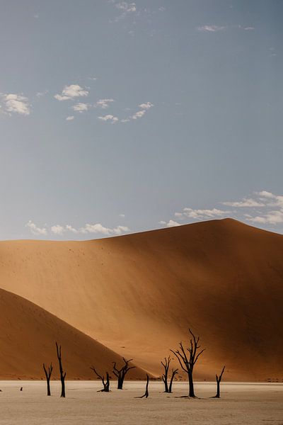 The beautiful colour palette of Deadvlei by Leen Van de Sande