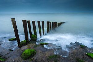 Between land and sea