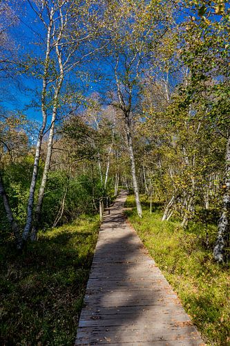 En route dans le parc national de la Rhön