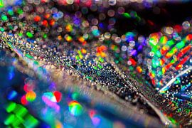 Folie Kunst von Rob Boon