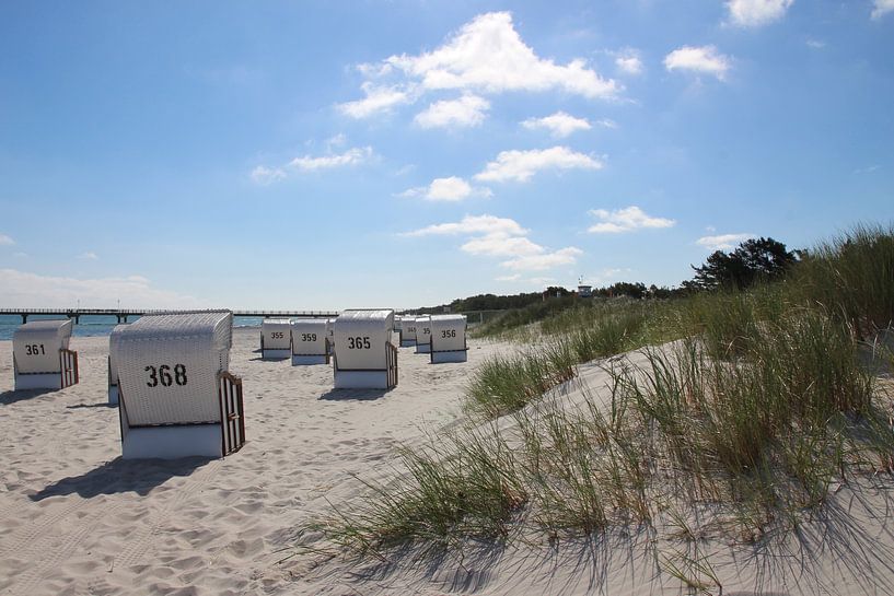 Beach by Ostsee Bilder