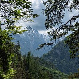 View through to the Stadelhorn by Peter van den Bosch