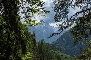 Vue sur le Stadelhorn sur Peter van den Bosch