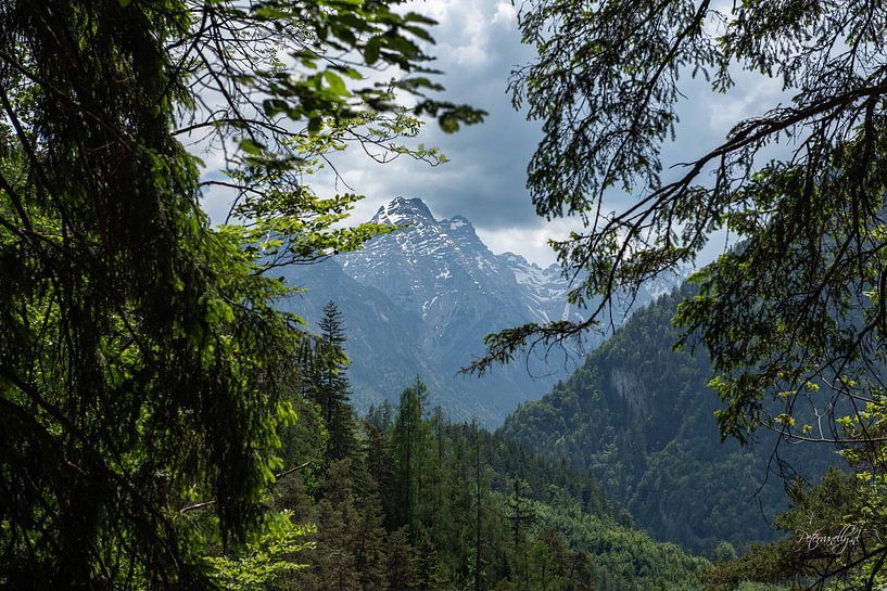 View through to the Stadelhorn by Peter van den Bosch