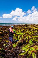 lobster fisherman
