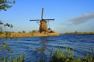 Kinderdijk mills by Samira Geerdinck thumbnail