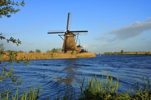 Kinderdijk Mühlen