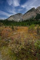 Takakkaw Falls met herfstkleuren