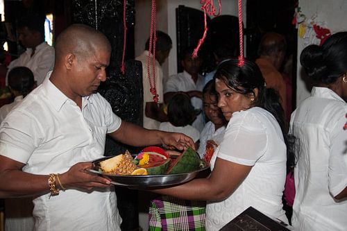 offers von Rony Coevoet