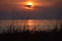 Beobachten, wie die Sonne im Meer versinkt.