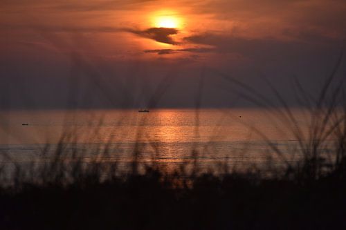 De zon in de zee zien zakken.