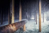 let it rain by Dieter Herreman thumbnail