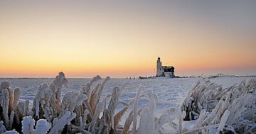 Paard van Marken in de winter van John Leeninga