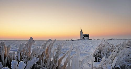 Paard van Marken in de winter