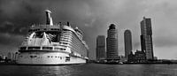 Oasis of the Seas in Rotterdam