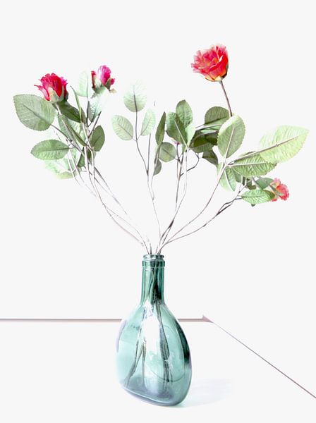 Rozen by Paul van der Lugt