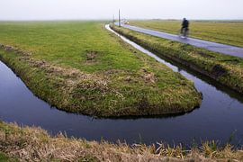 Cyclist in Dutch landscape