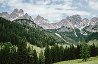 Alpen in Oostenrijk van Patrycja Polechonska thumbnail