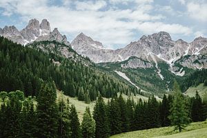 Alpen in Österreich von Patrycja Polechonska