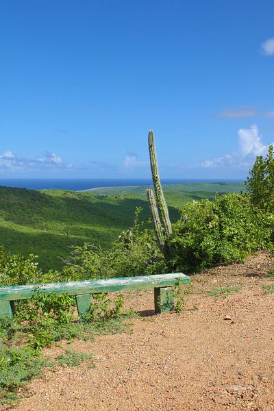 Christoffel Mountain Curacao by rene marcel originals