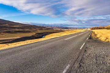 Weg en landschap in het oosten van IJsland