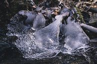 Bevroren water in prachtige ijsvormen von Nynke Nicolai Miniaturansicht