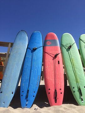 Surfboarden van Corinna Vollertsen