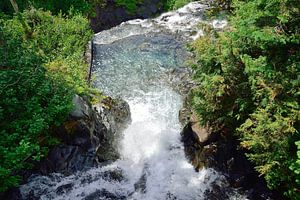 Gezwungen zwischen den Felsen