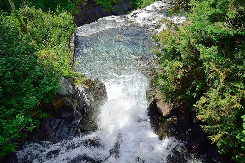 Gedwongen tussen de rotsen