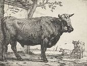 Bull, Paulus Potter, 1650. von Vintage en botanische Prenten Miniaturansicht