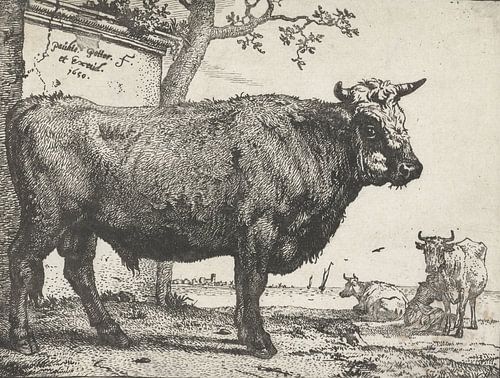 Stier, Paulus Potter, 1650