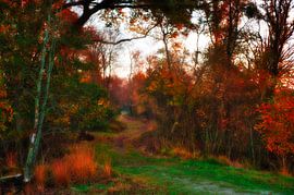 Fairytale forest by Miny'S