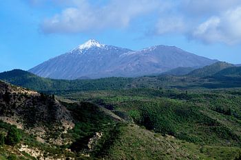 Purple Teide