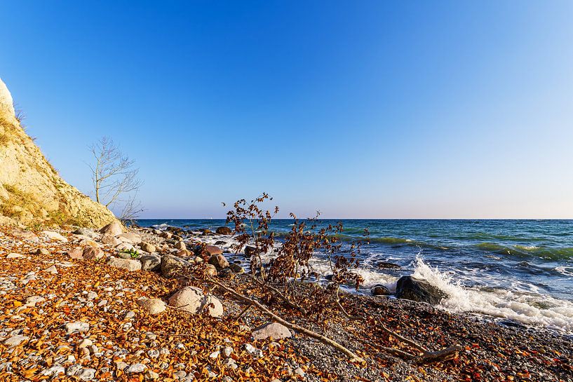 Paysage en automne sur la côte de la mer Baltique sur l'île de Rüg par Rico Ködder
