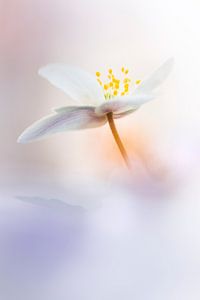 Meditation