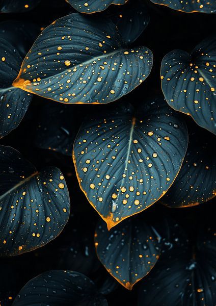 Whispers of rain by Liv ter Riet
