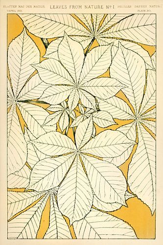 Owen Jones's famous 19th Century The Grammar of Ornament
