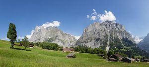 Grindelwald