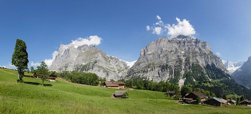 Grindelwald