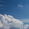 Parapente, zo vrij als een vogel in de lucht van Jani Moerlands