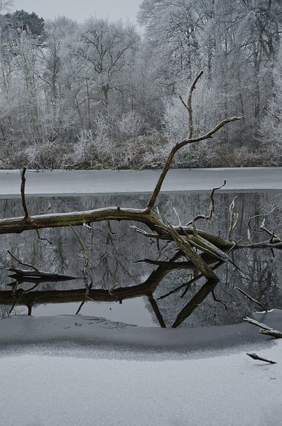 Een winters landschap van Remco Swiers
