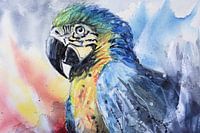 Parrot Watercolor