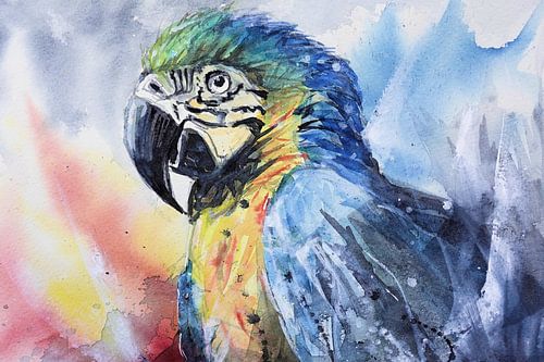 Kleurrijke Papegaai in Aquarel