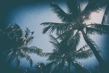 Palmbomen in Miami von Aiji Kley
