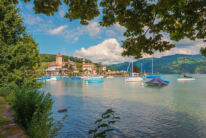 idyllic tourist resort Spiez, harbor with sailboats and historic by SusaZoom