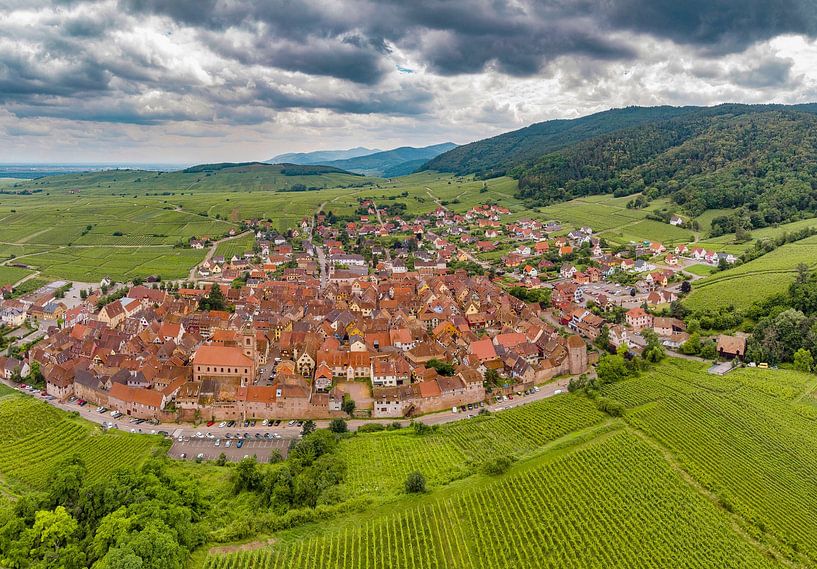 Ein Dorf inmitten von Weinbergen, Riquewihr, Frankreich von Rene van der Meer