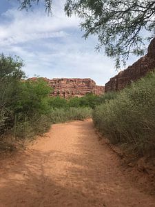 Grand Canyon